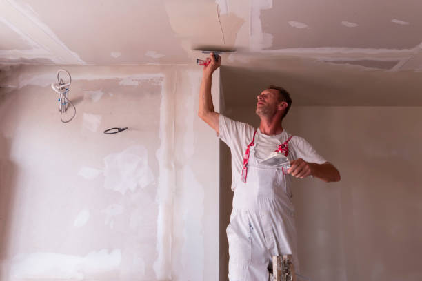 Best Water-Damaged Drywall Repair  in Tyndall Af, FL